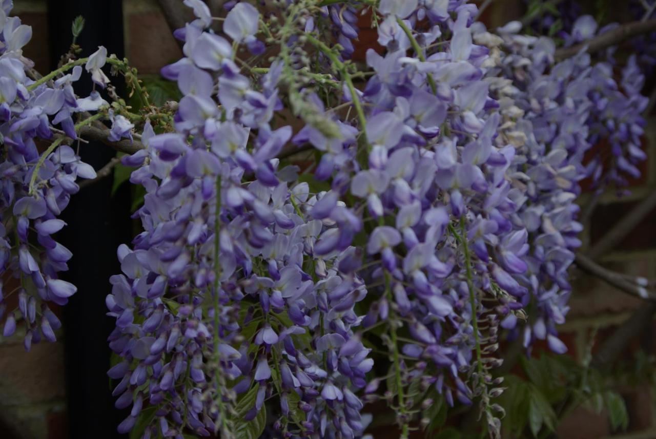 5 Charlton Mill Way B&B Chichester Kültér fotó